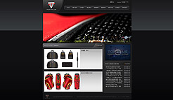 Topplus 品牌网站设计
