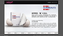 广州瑞莉化妆品有限公司企业flash网站设计